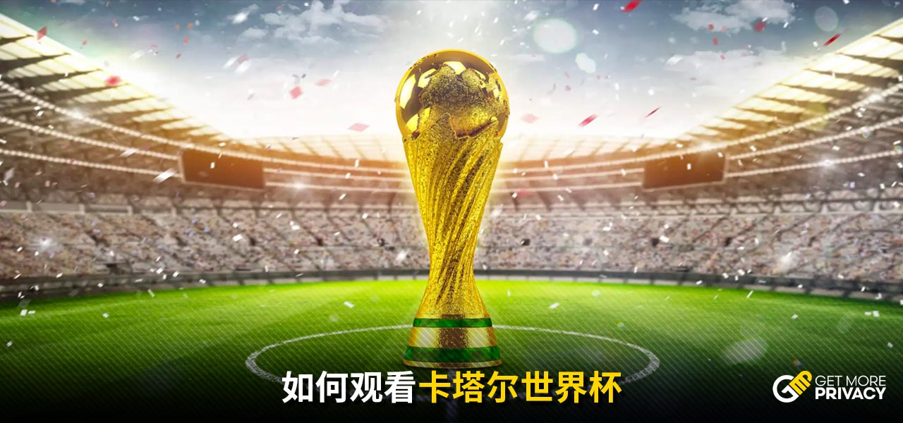 施的大力投